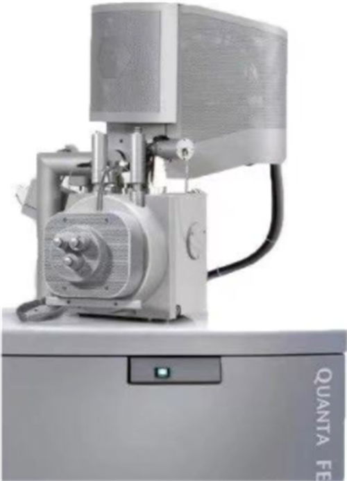 张家口普通透射电镜测试价格价格合理 9d实验室电镜分析